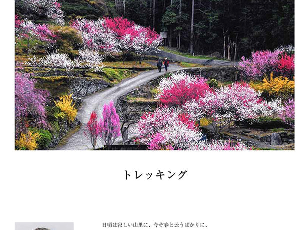 春の花道