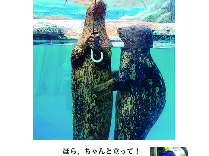 水族館